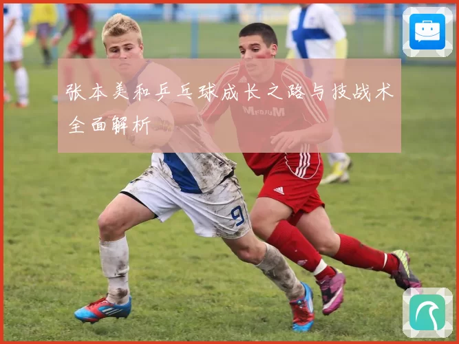 张本美和乒乓球成长之路与技战术全面解析