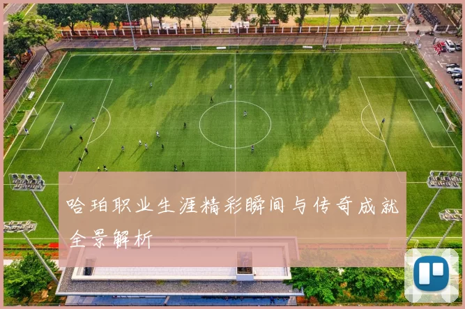 哈珀职业生涯精彩瞬间与传奇成就全景解析