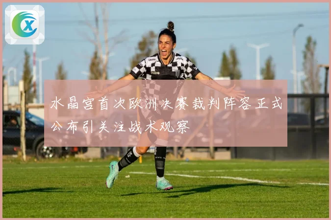 水晶宫首次欧洲决赛裁判阵容正式公布引关注战术观察