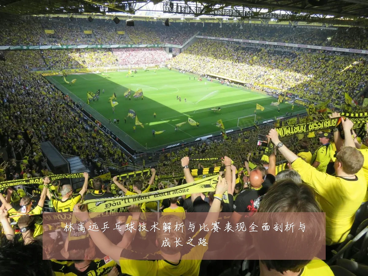 林高远乒乓球技术解析与比赛表现全面剖析与成长之路