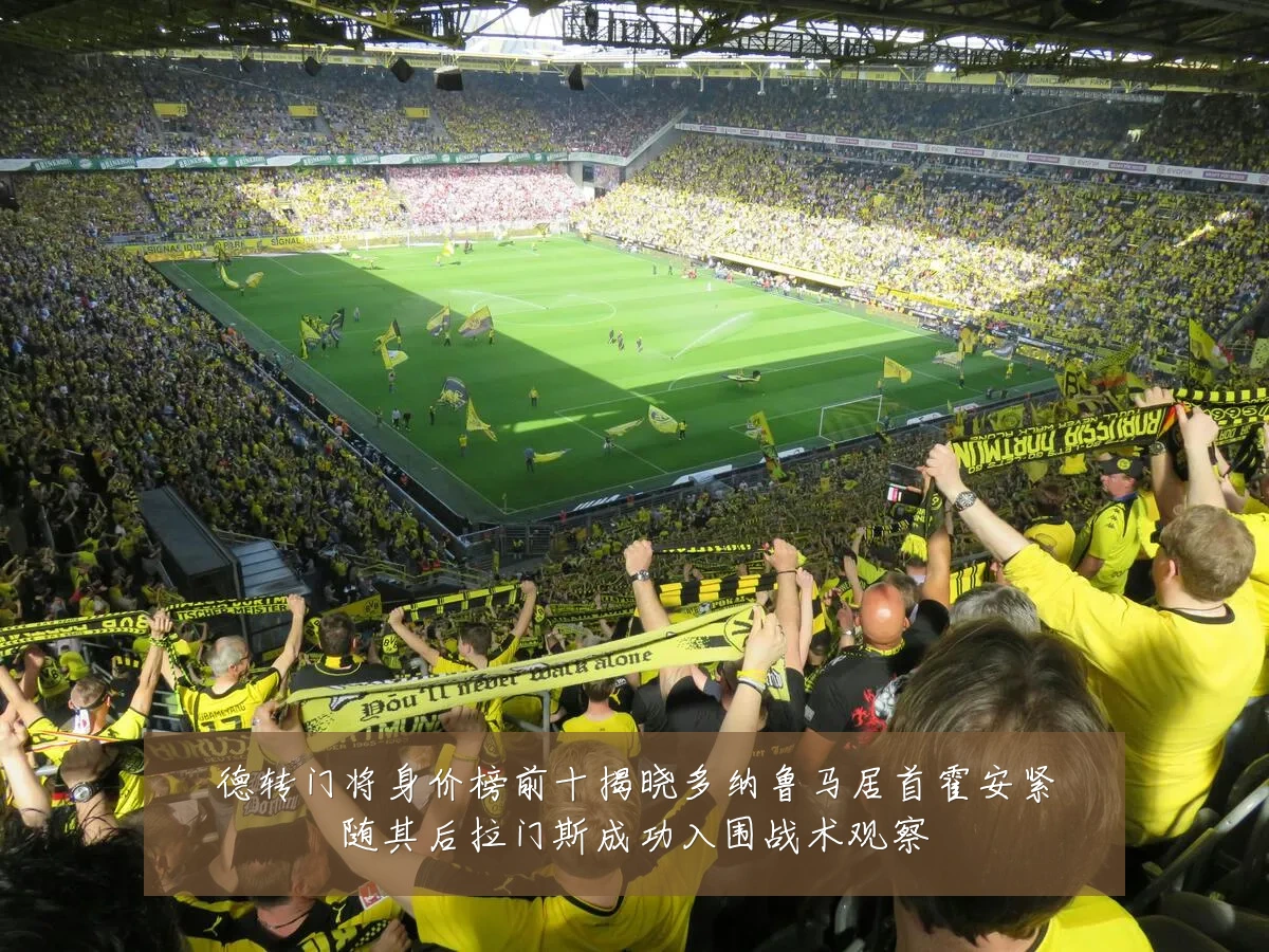德转门将身价榜前十揭晓多纳鲁马居首霍安紧随其后拉门斯成功入围战术观察